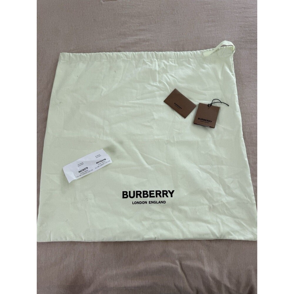 Authentic Burberry London England Dust Bag Pale Mint Green 22.5x22.5 Drawstring